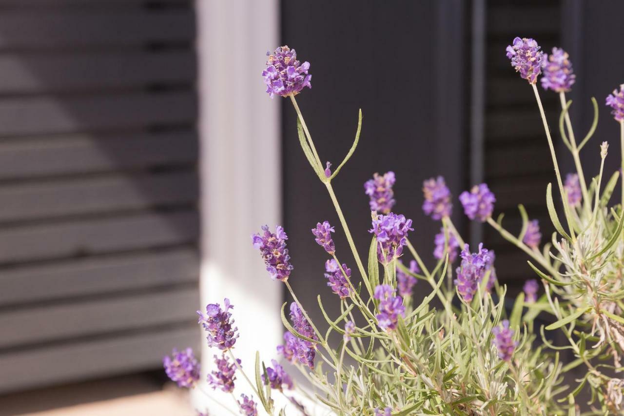 Bentleys Coast And Country B&B Lymington Exterior foto