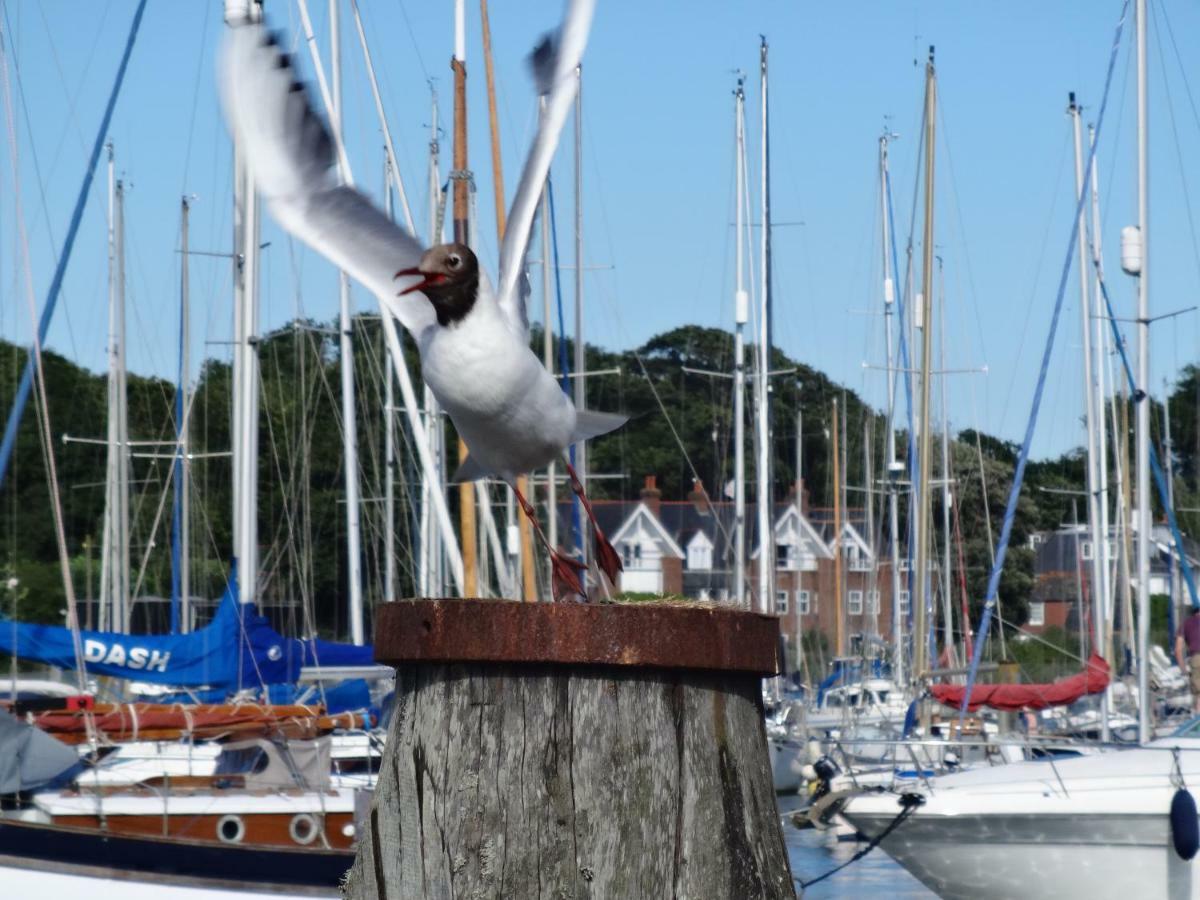 Bentleys Coast And Country B&B Lymington Exterior foto